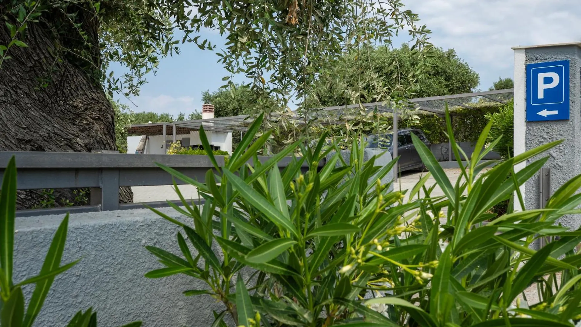 Villa Almira Luxury Apartments Ouranoupoli